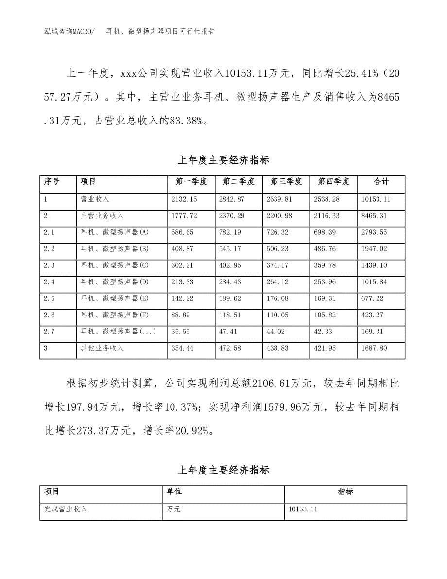 耳机、微型扬声器项目可行性报告范文（总投资15000万元）.docx_第5页