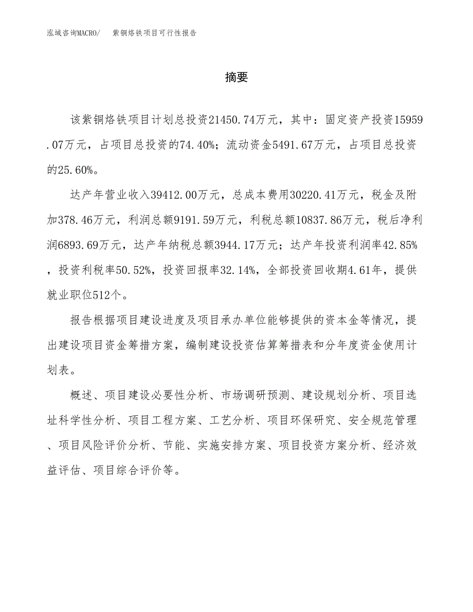 紫铜烙铁项目可行性报告范文（总投资21000万元）.docx_第2页