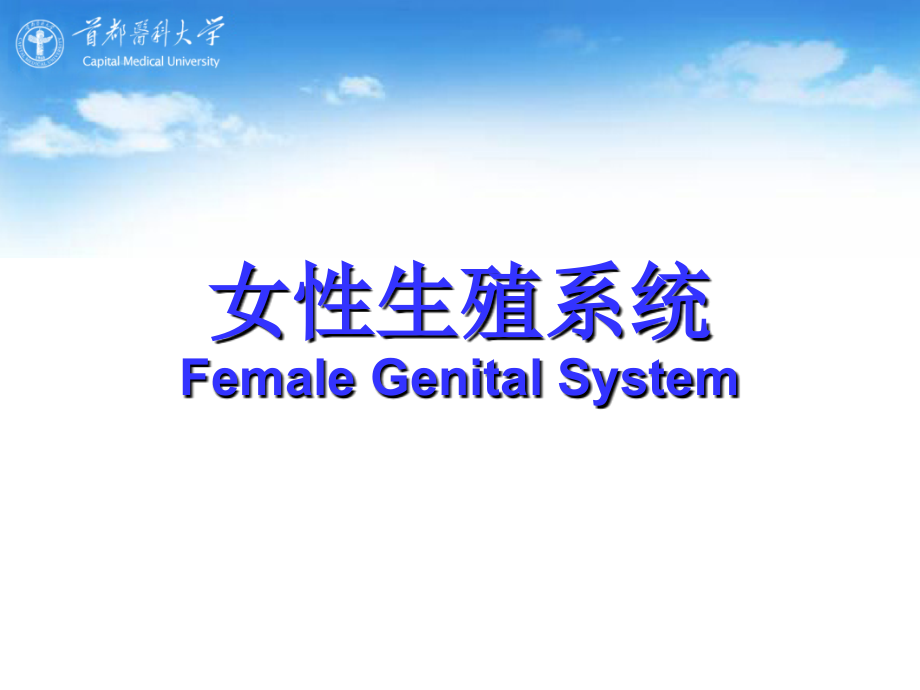 女性生殖课件 female genital system_第1页