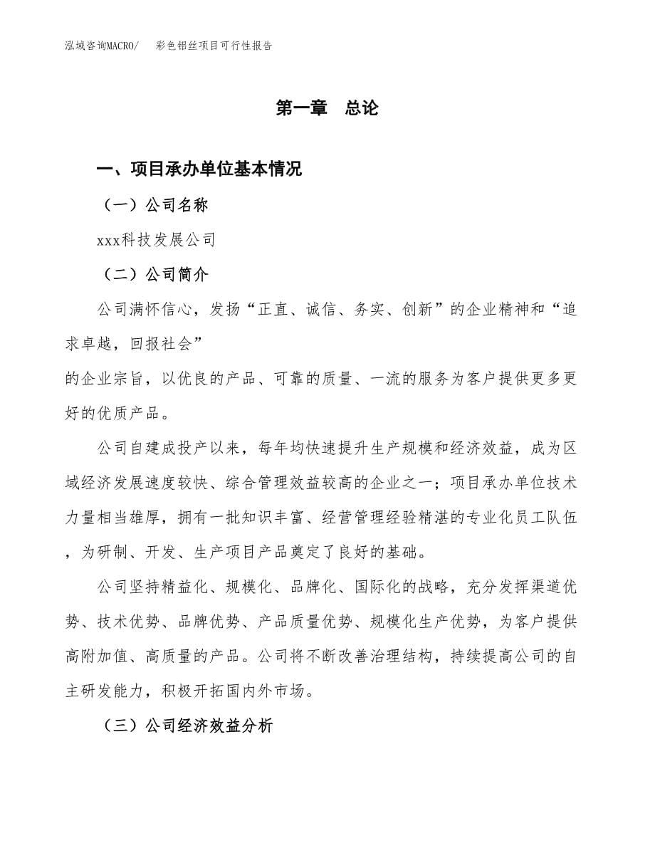 彩色铝丝项目可行性报告范文（总投资6000万元）.docx_第5页