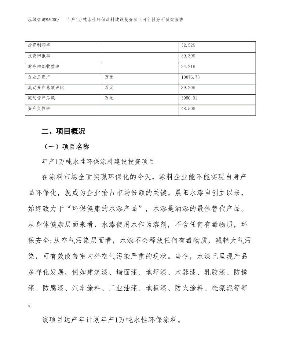 年产1万吨水性环保涂料建设投资项目可行性分析研究报告 (9)_第5页