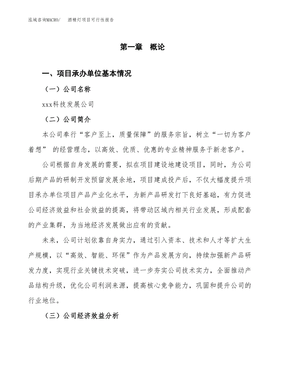 酒精灯项目可行性报告范文（总投资13000万元）.docx_第4页