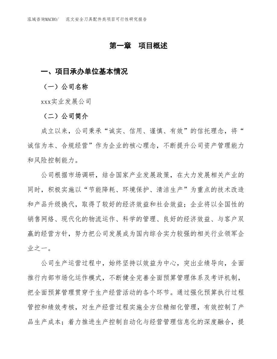 范文安全刀具配件类项目可行性研究报告(立项申请).docx_第5页