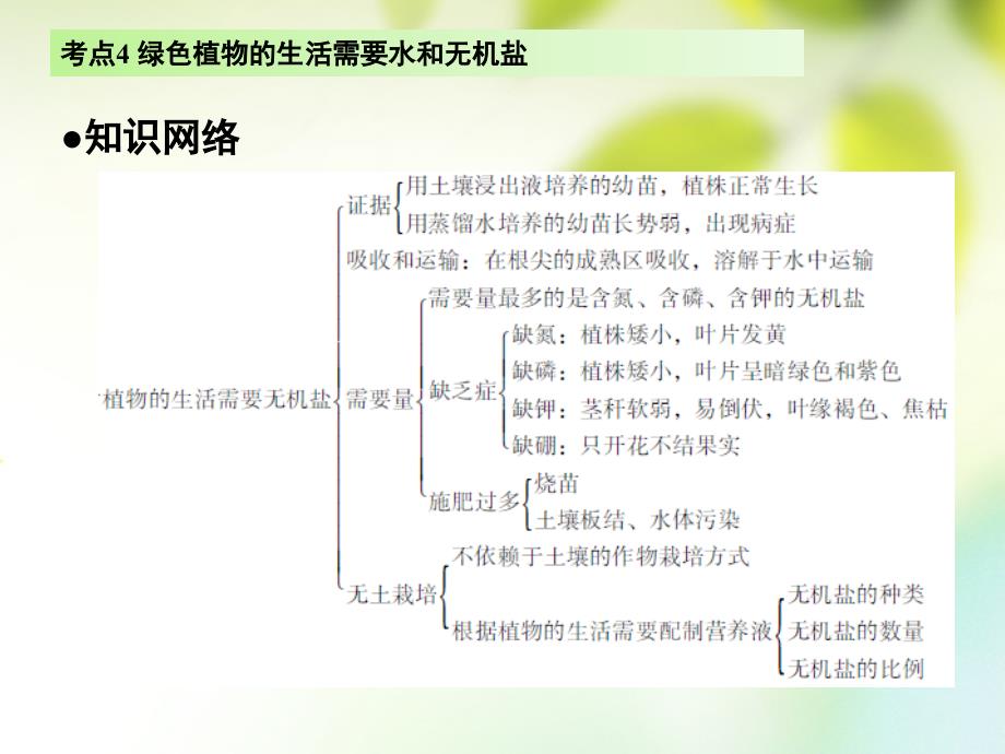 广东省2017届中考生物 第三章 考点4 绿色植物的生活需要水和无机盐复习课件_第3页