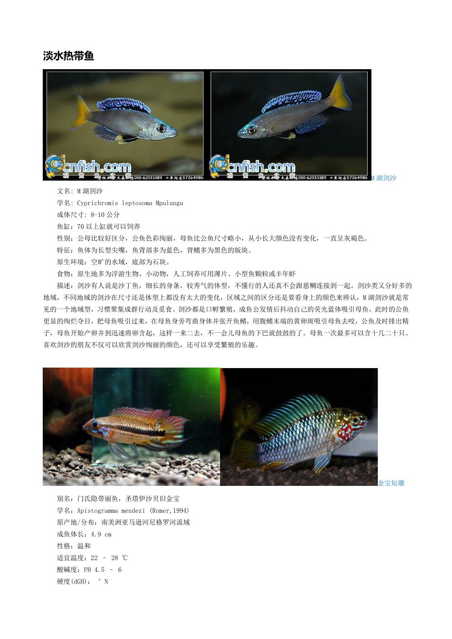 新建 淡水热带鱼图片大全_第1页