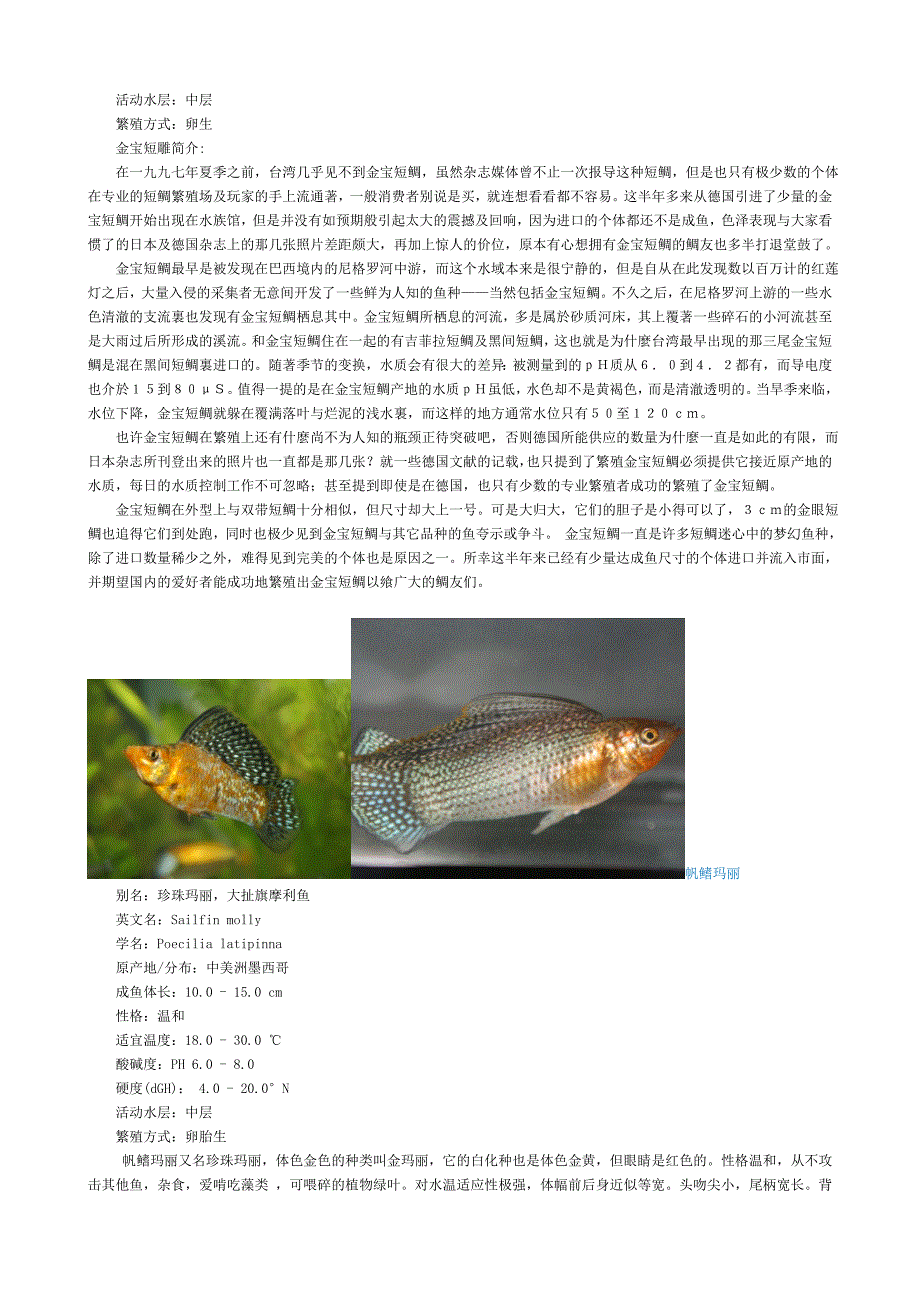 新建 淡水热带鱼图片大全_第2页