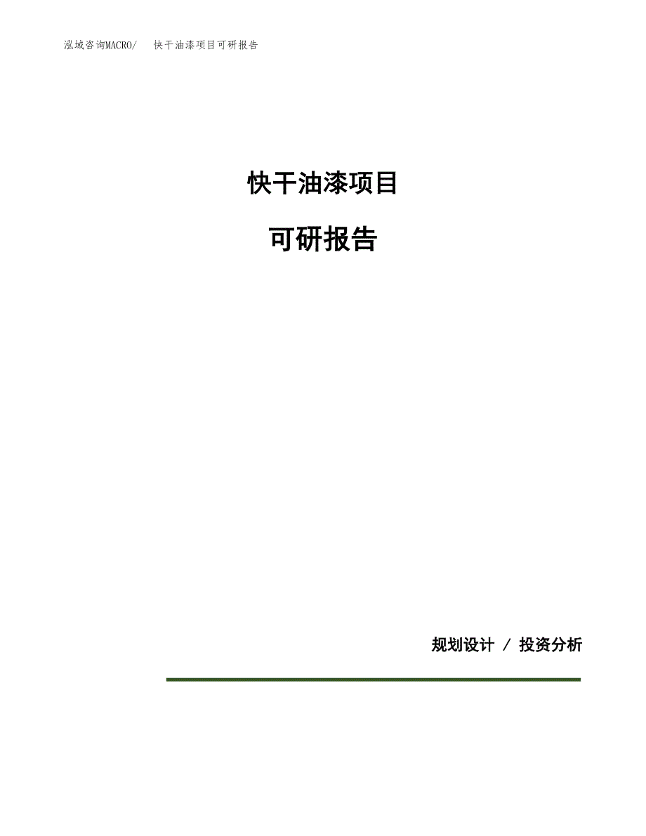 (2019)快干油漆项目可研报告模板.docx_第1页