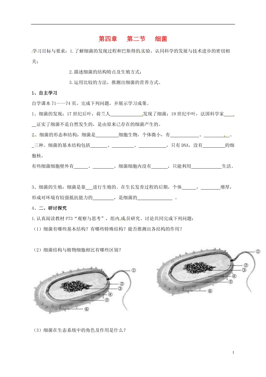 广东省河源市正德中学八年级生物上册 5.4.2 细菌学案（无答案）（新版）新人教版_第1页