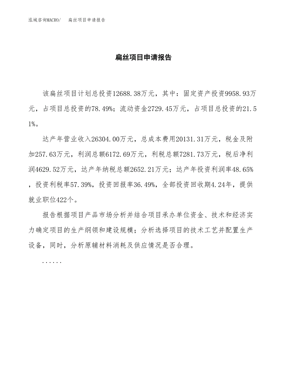 扁丝项目申请报告范文（总投资13000万元）.docx_第2页