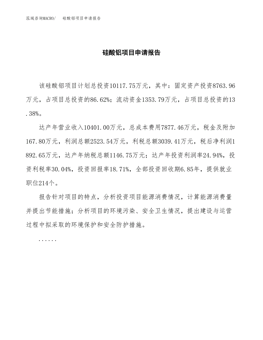 硅酸铝项目申请报告范文（总投资10000万元）.docx_第2页