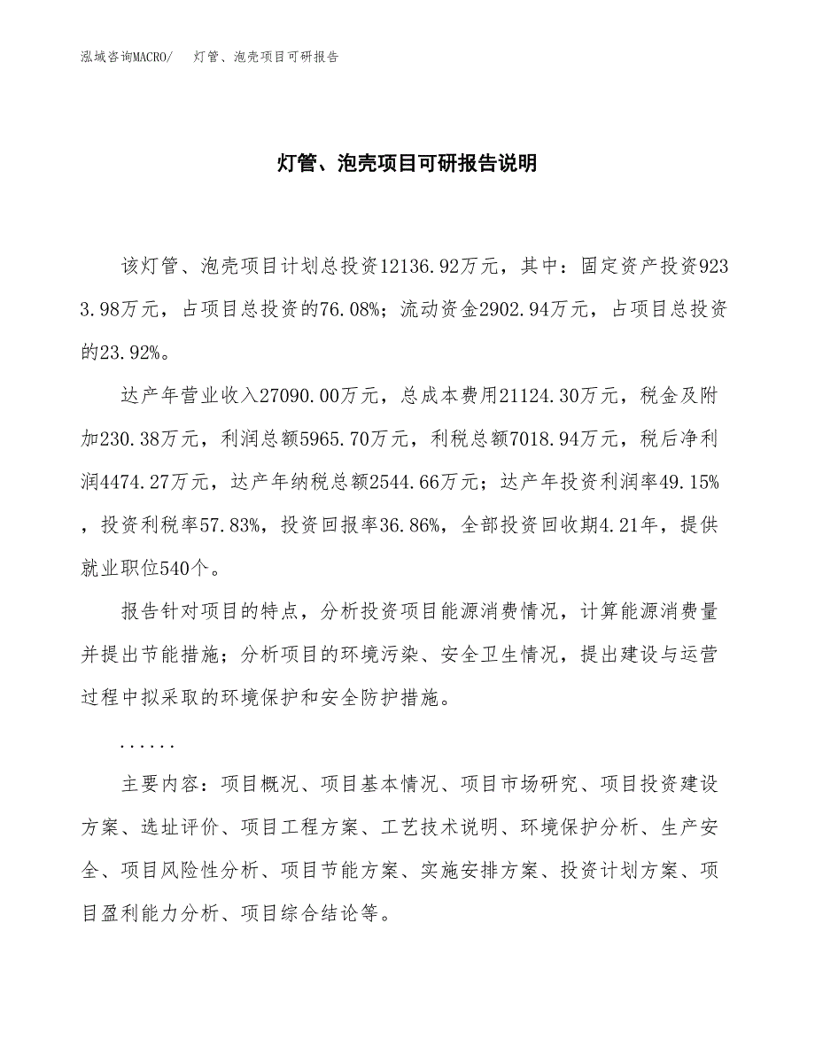 (2019)灯管、泡壳项目可研报告模板.docx_第2页