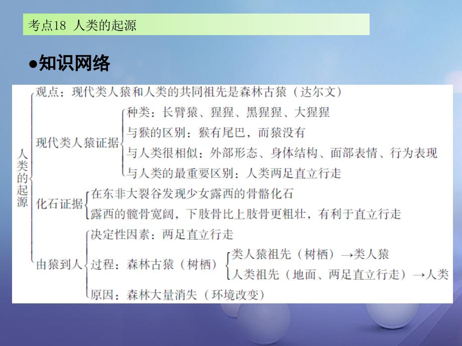 广东省2017届中考生物 第四章 考点18~20复习课件_第2页