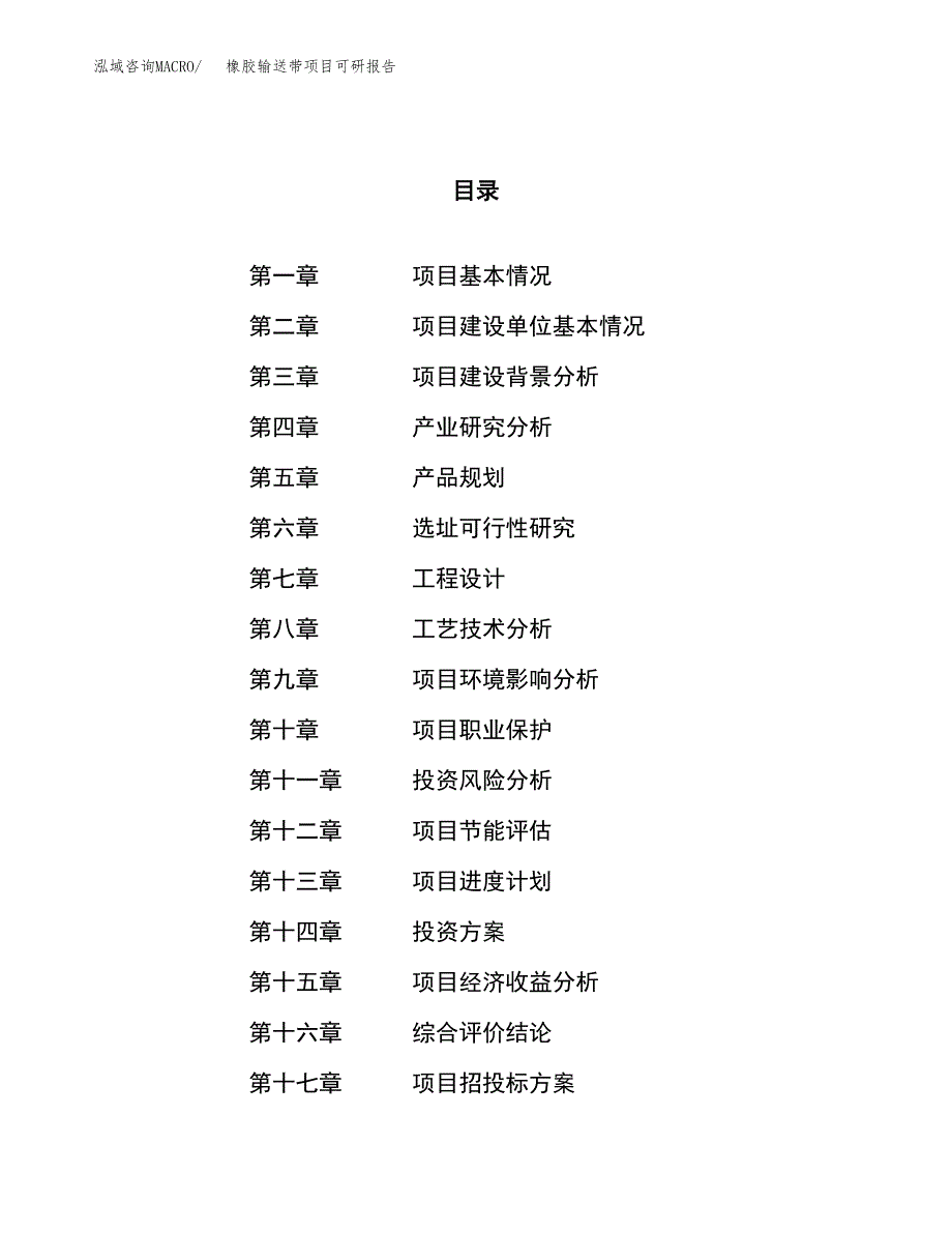 橡胶输送带项目可研报告（立项申请）_第1页