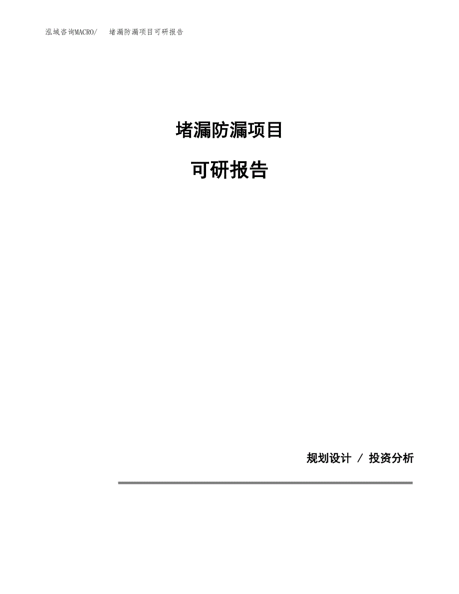 (2019)堵漏防漏项目可研报告模板.docx_第1页