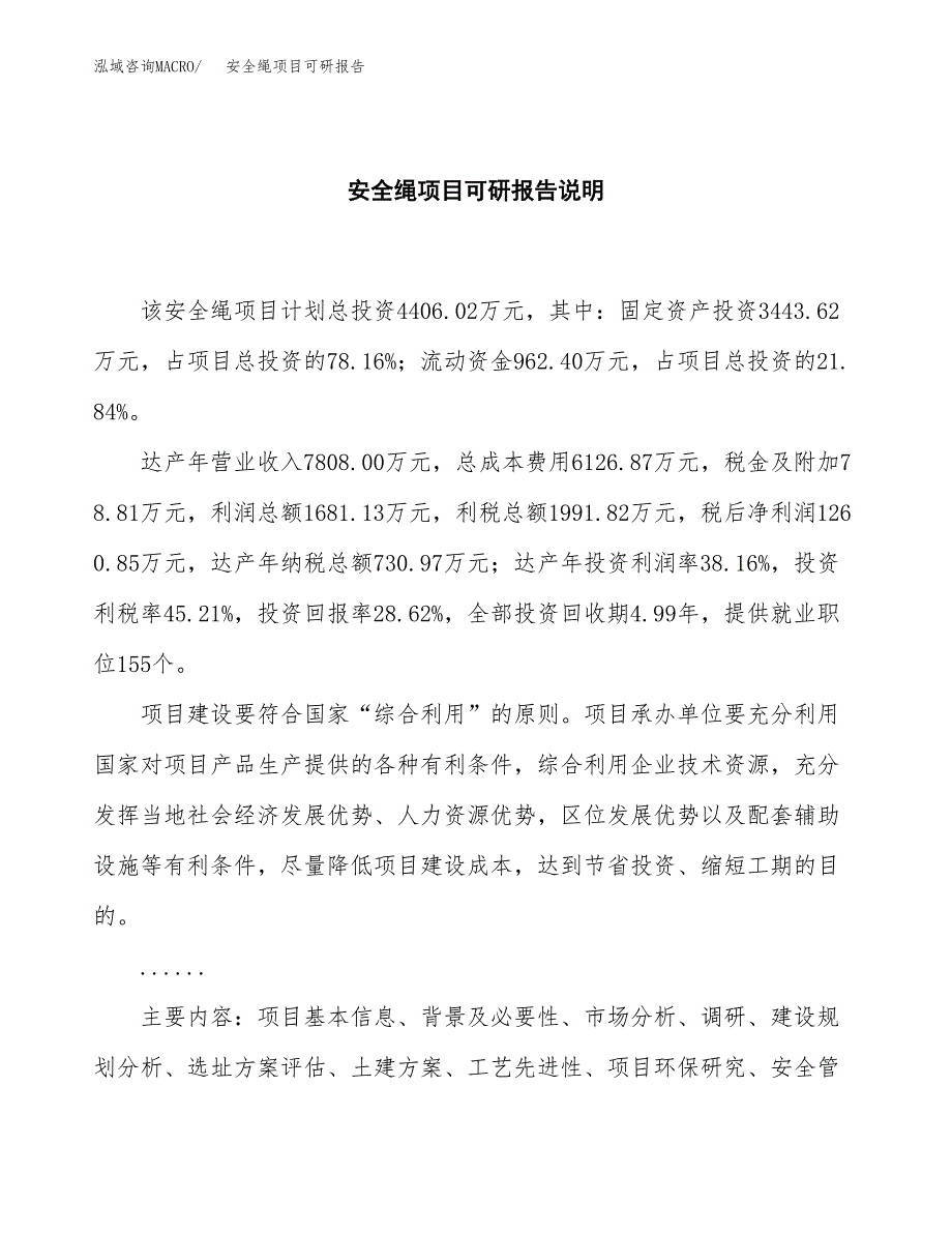 (2019)安全绳项目可研报告模板.docx_第2页