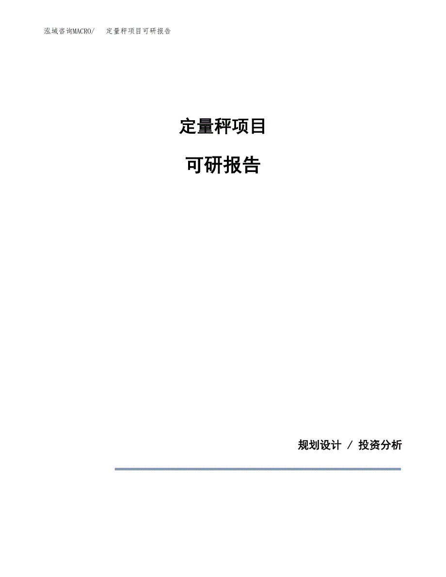 (2019)定量秤项目可研报告模板.docx_第1页