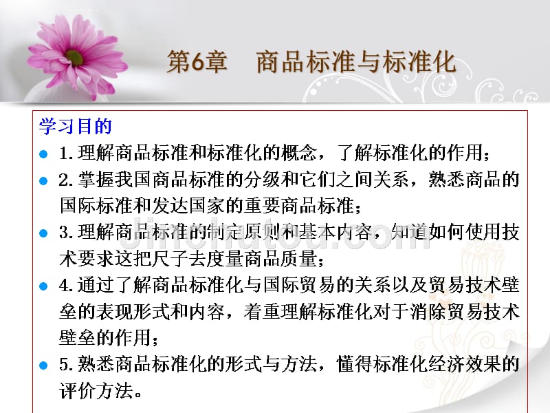 商品标准与标准化概述.ppt_第1页