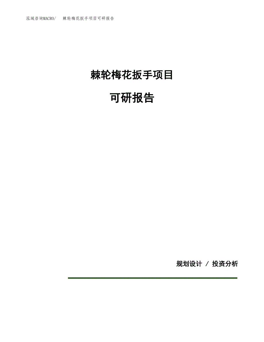 (2019)棘轮梅花扳手项目可研报告模板.docx_第1页