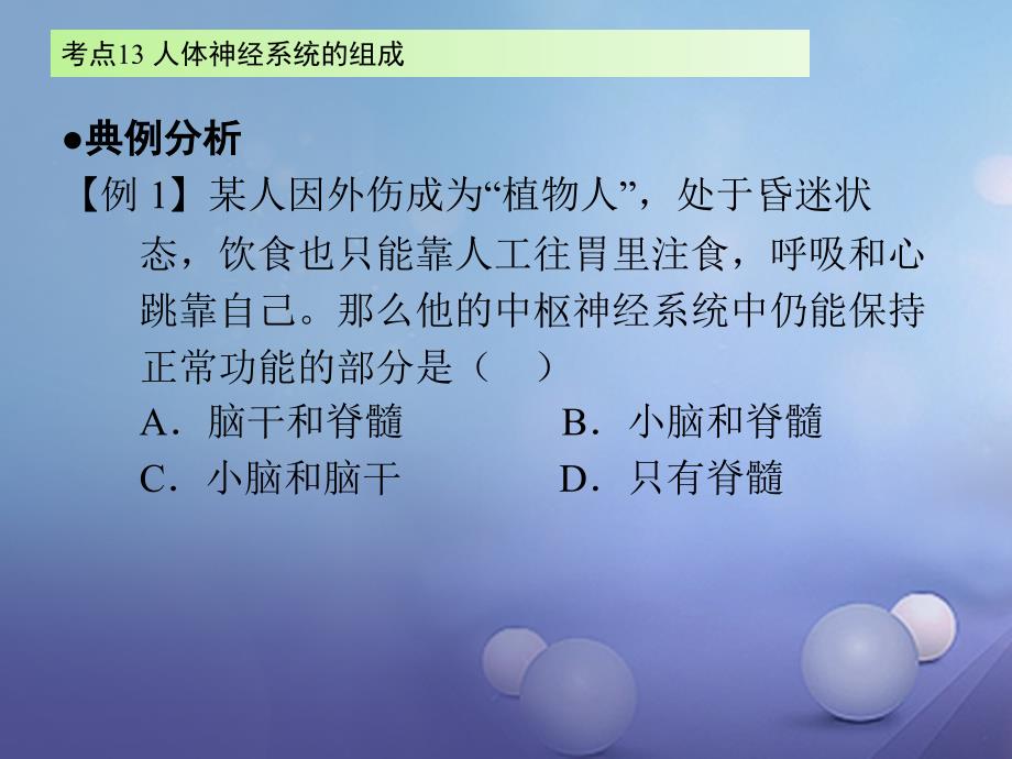 广东省2017届中考生物 第四章 考点13 人体神经系统的组成复习课件_第3页