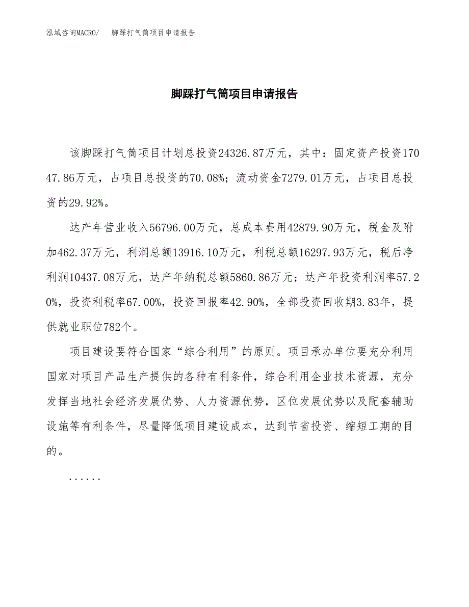 脚踩打气筒项目申请报告范文（总投资24000万元）.docx_第2页