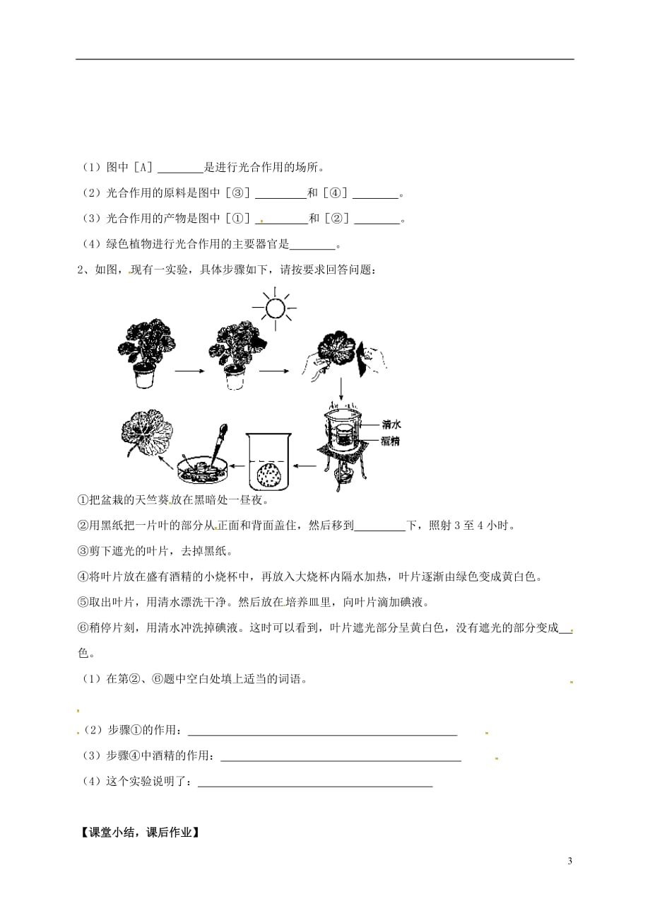 江苏省启东市折桂中学七年级生物上册 4.1 植物的光合作用教案2 （新版）苏科版_第3页