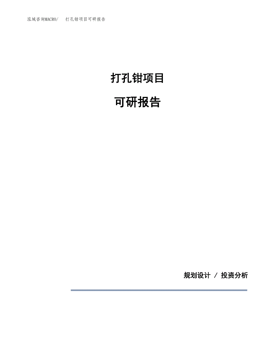 (2019)打孔钳项目可研报告模板.docx_第1页