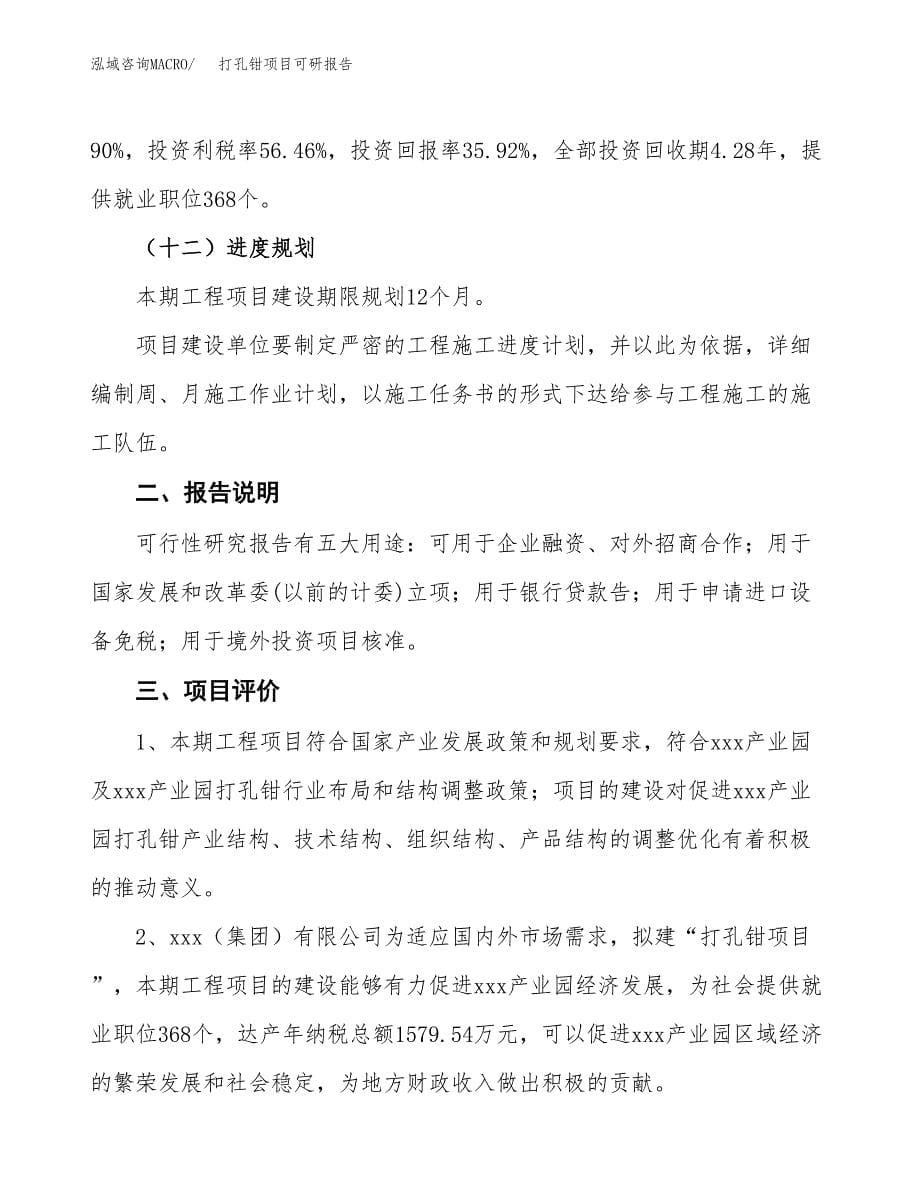 (2019)打孔钳项目可研报告模板.docx_第5页