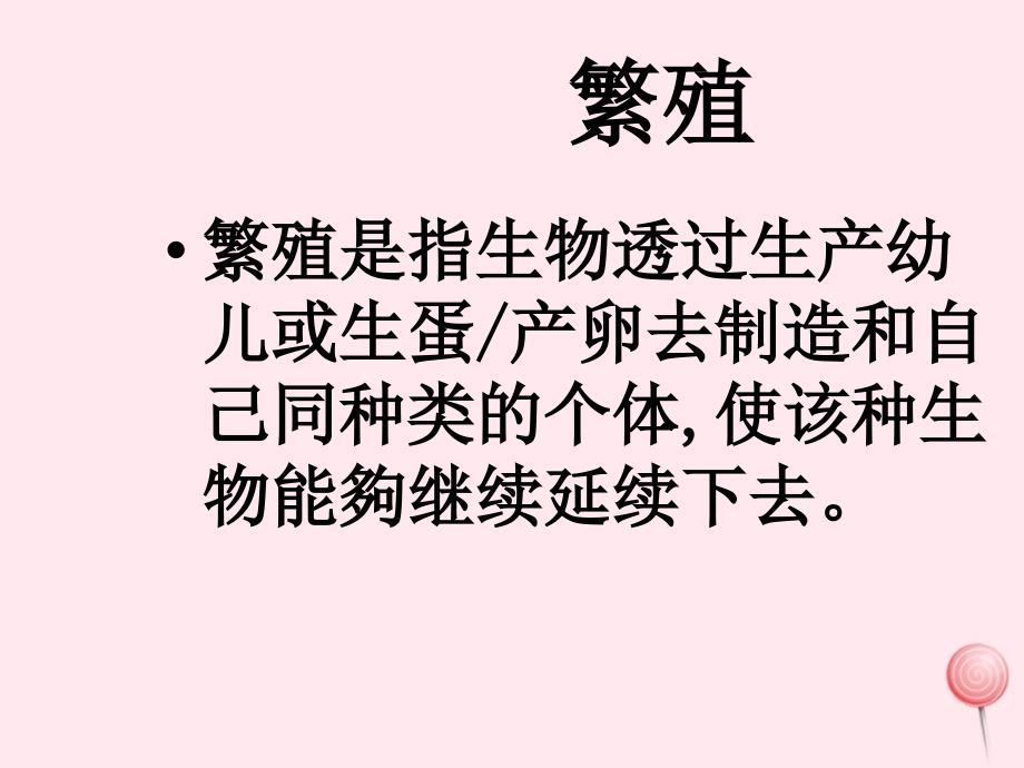 四年级科学下册 2.3《翩翩雌和雄》课件2 湘教版_第2页