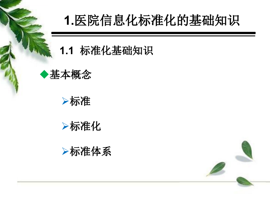 医院信息标准化培训.ppt_第3页