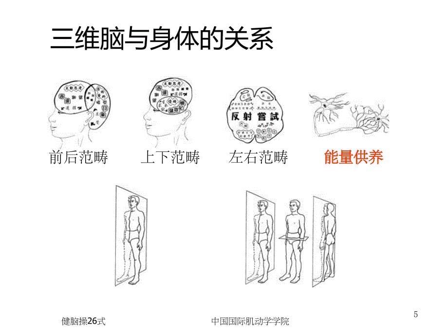 协调健脑提高学习效率.ppt_第5页