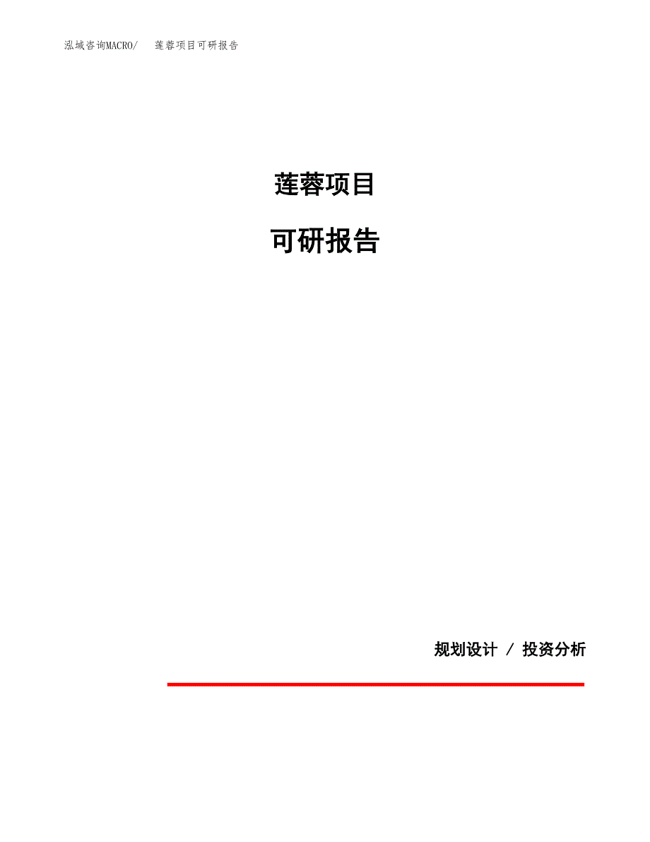 (2019)莲蓉项目可研报告模板.docx_第1页