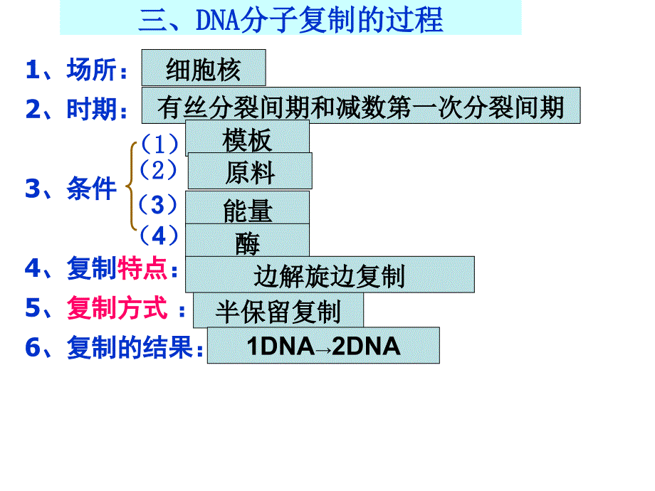 dna分子的复制(一轮复习)_第3页