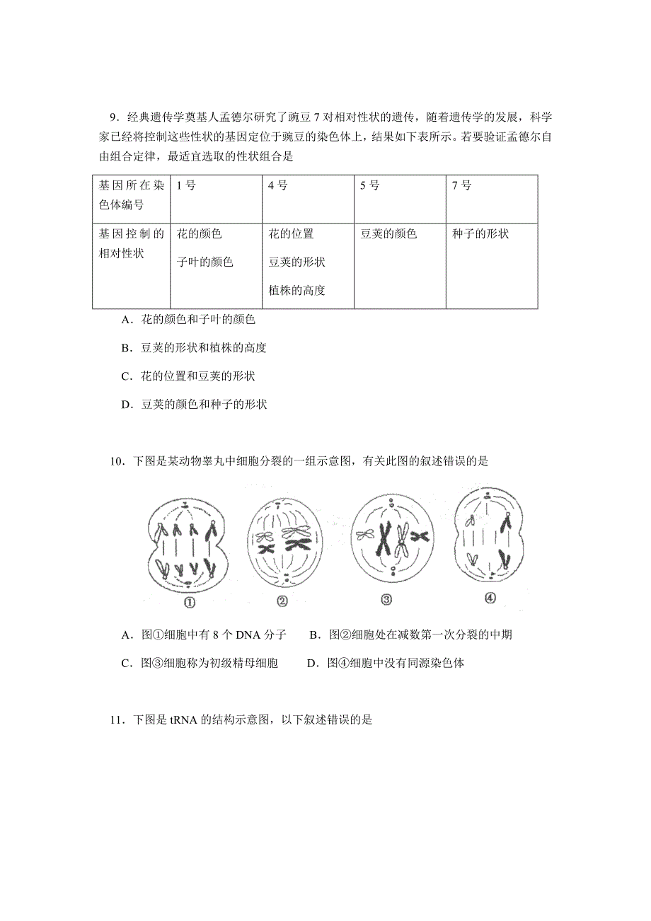 北京师范大学附属中学2018-2019学年高一下学期期末考试生物试题（含答案）_第3页