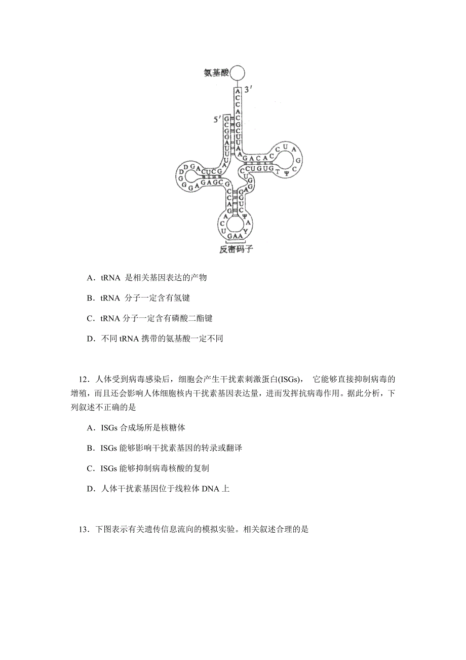 北京师范大学附属中学2018-2019学年高一下学期期末考试生物试题（含答案）_第4页