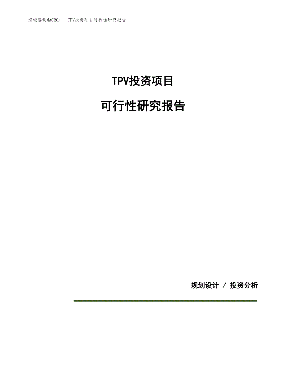 TPV投资项目可行性研究报告2019.docx_第1页