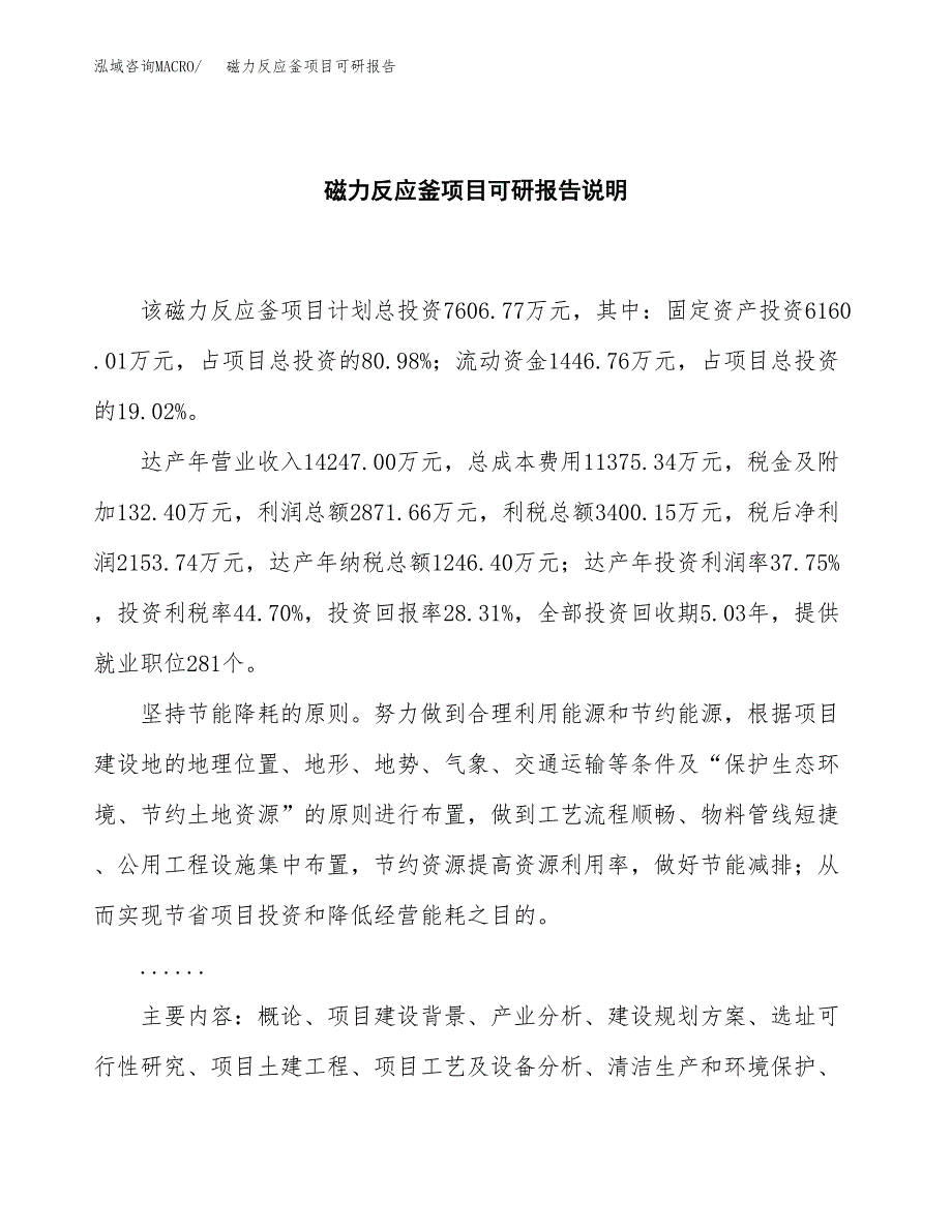 (2019)磁力反应釜项目可研报告模板.docx_第2页