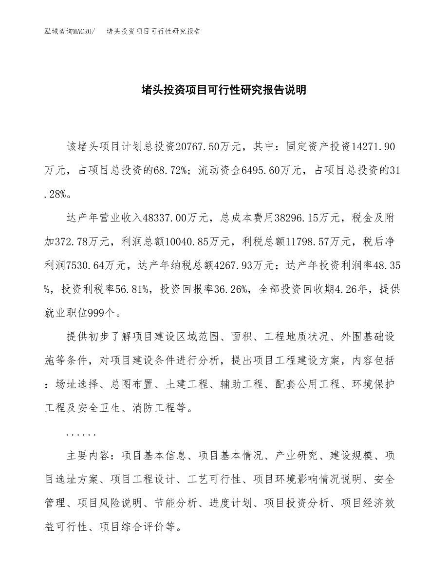 堵头投资项目可行性研究报告2019.docx_第2页