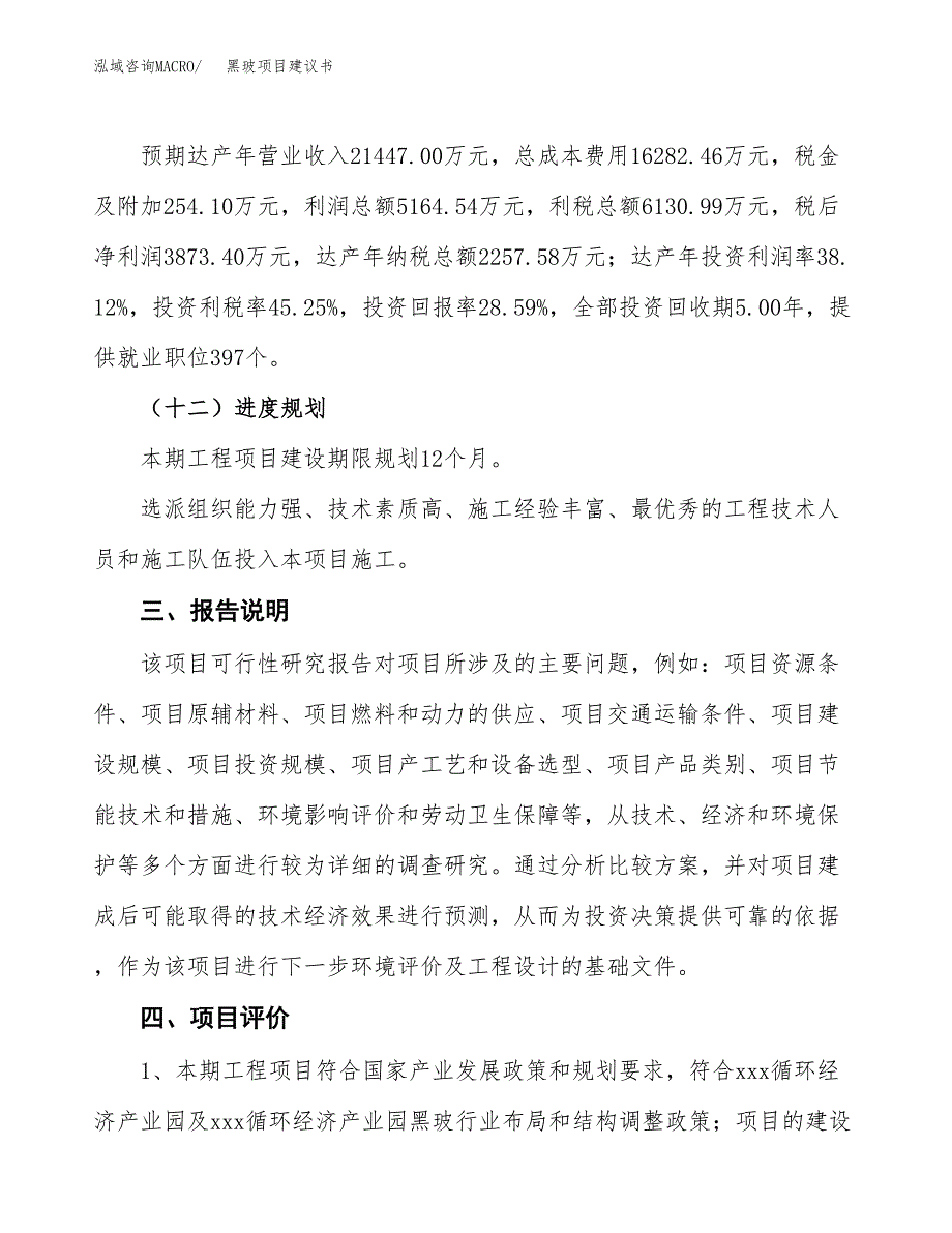 黑玻项目建议书范文模板_第4页