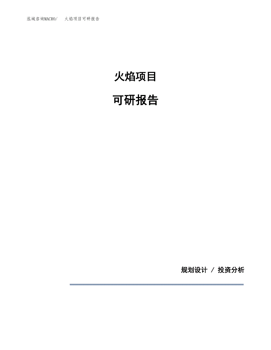 (2019)火焰项目可研报告模板.docx_第1页