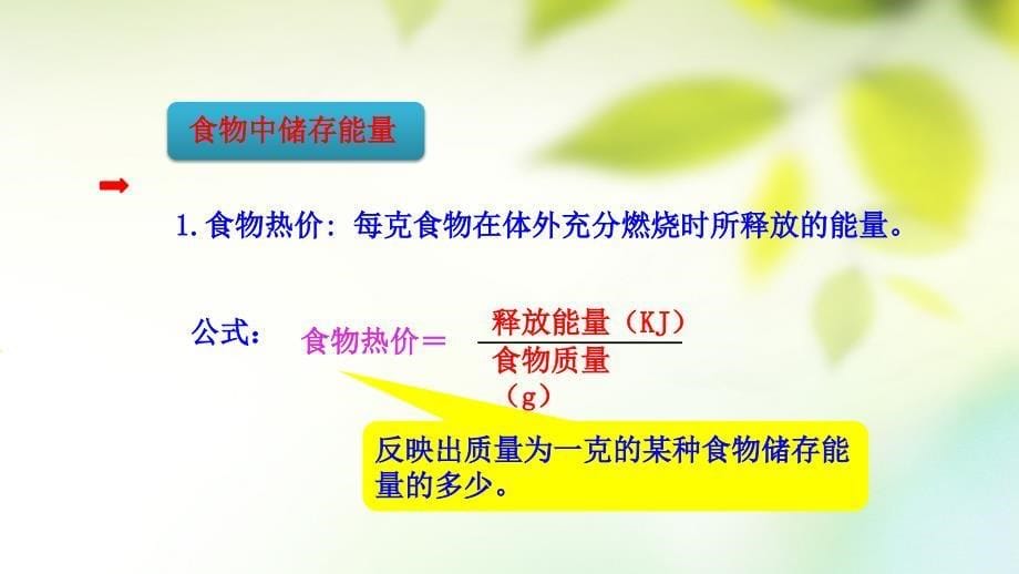 七年级生物下册 4.10.1 食物中能量的释放课件 北师大版_第5页