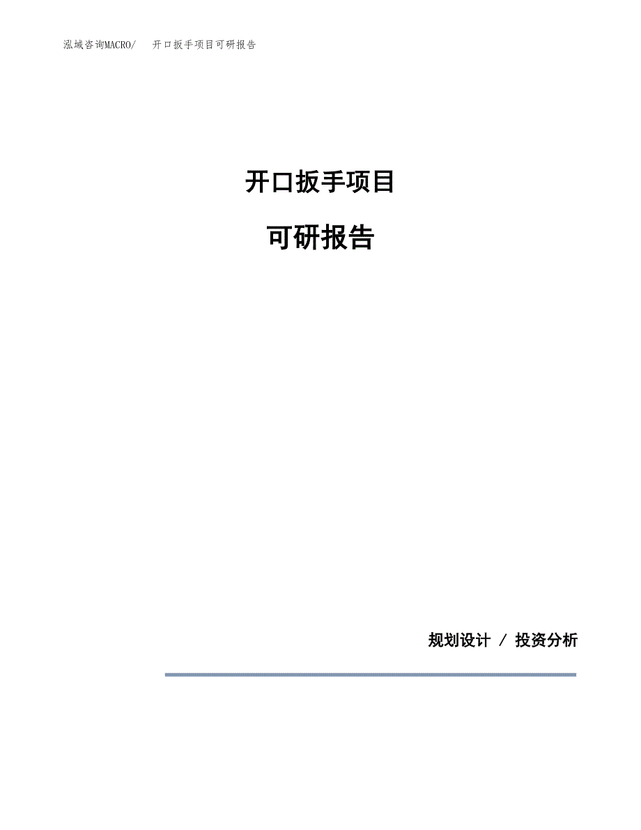 (2019)开口扳手项目可研报告模板.docx_第1页