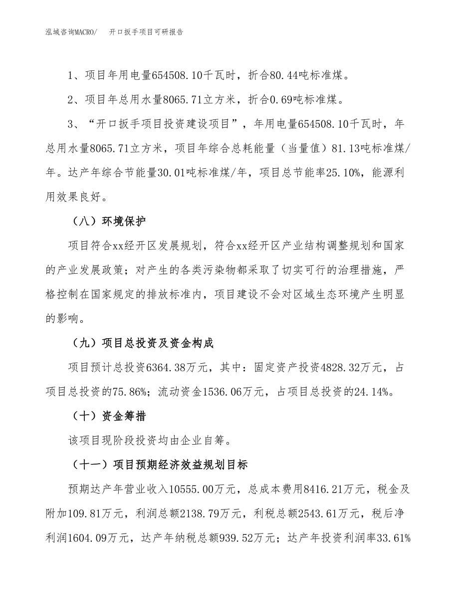 (2019)开口扳手项目可研报告模板.docx_第5页