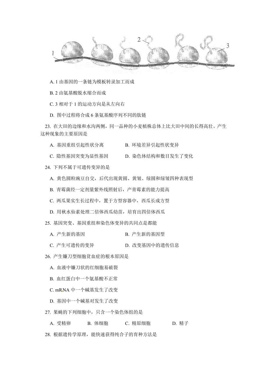 北京市第四中学2018-2019学年高一下学期期末考试生物试题（含答案）_第5页