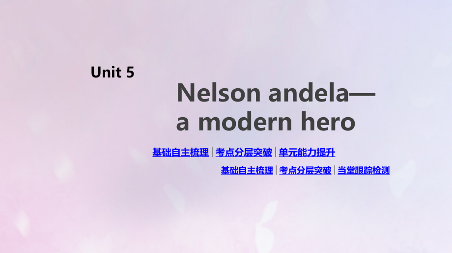 2020版高考英语总复习 unit 5 nelson mandela&mdash;a modern hero课件 新人教版必修1_第1页