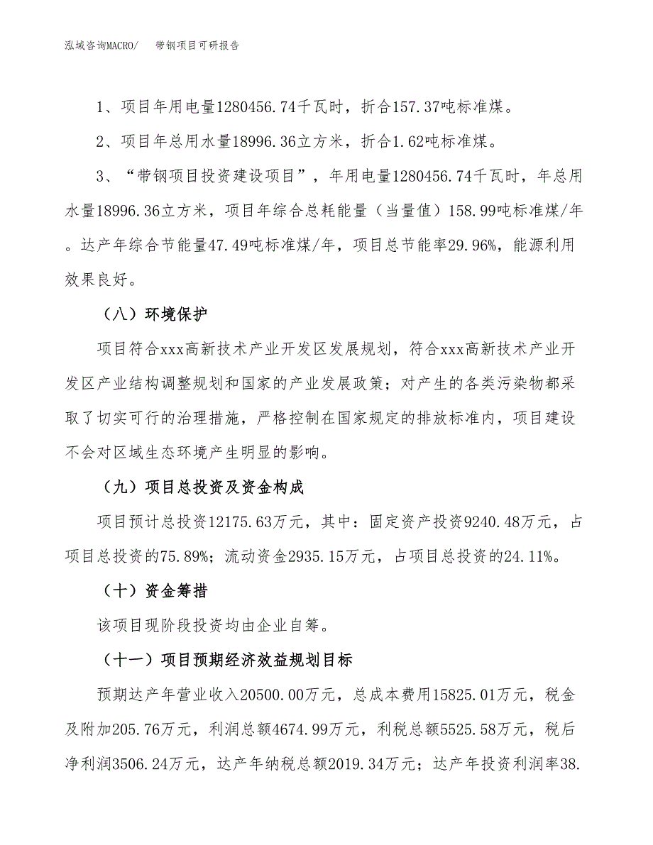 (2019)带钢项目可研报告模板.docx_第4页