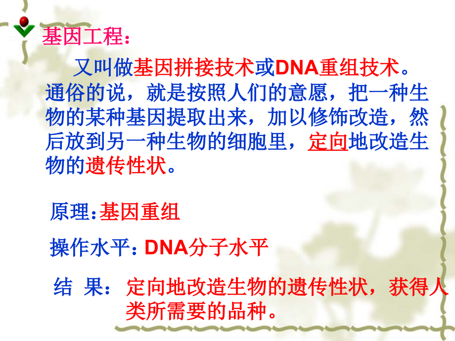 dna重组技术的基本工具概述2.ppt_第3页