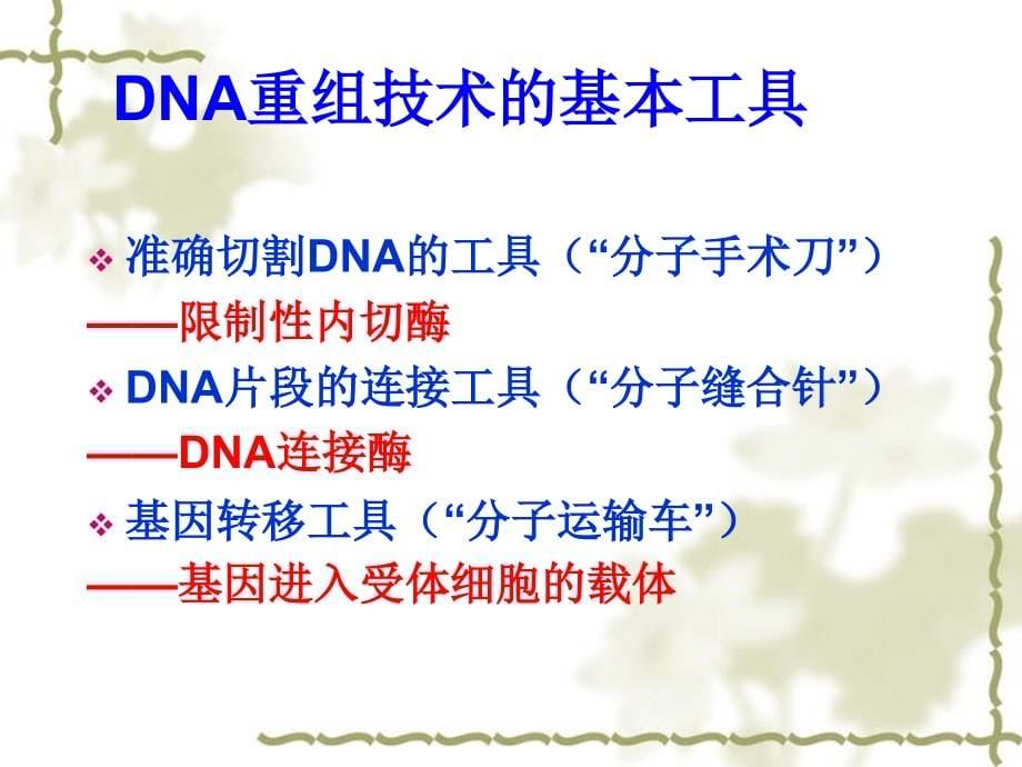 dna重组技术的基本工具概述2.ppt_第5页