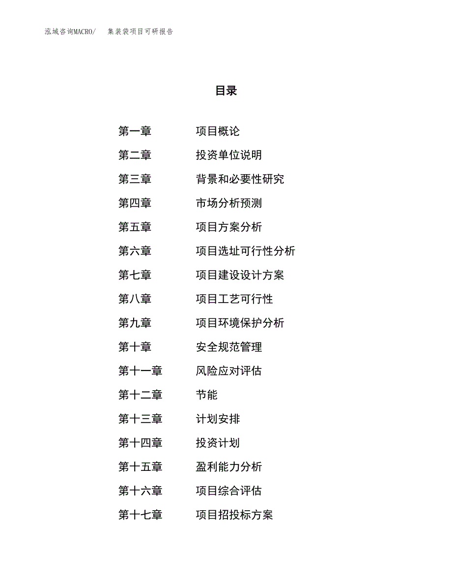 集装袋项目可研报告（立项申请）_第1页