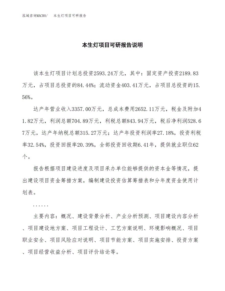 (2019)本生灯项目可研报告模板.docx_第2页