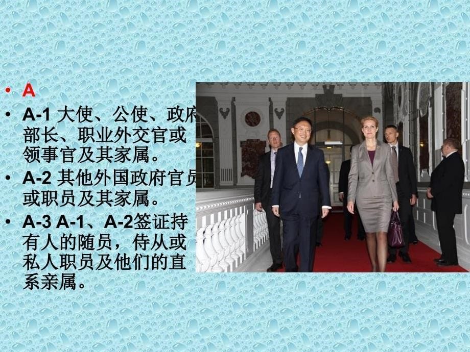 国际礼仪签证讲义.ppt_第5页